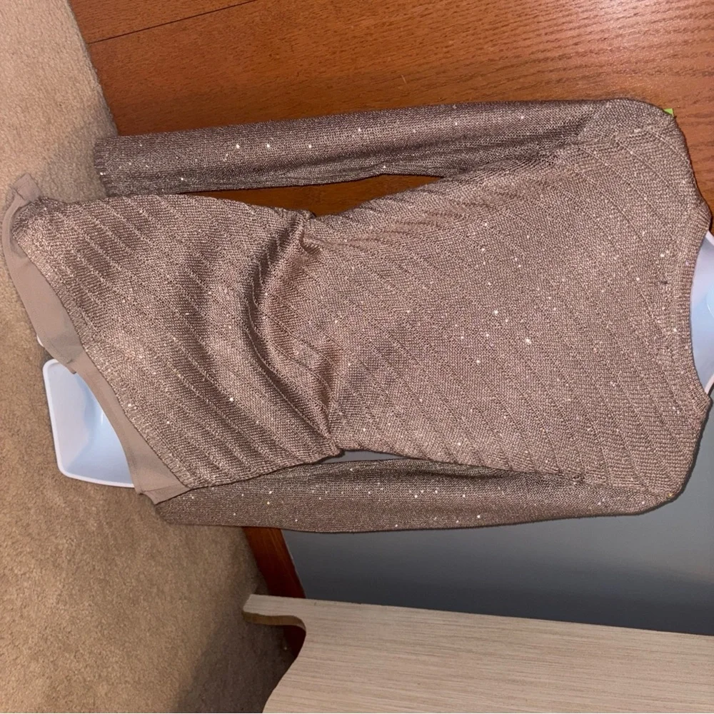 Apt 9 Sweater Gold Taupe XS Sparkly Thru out✨Long Sleeve Tunic Top Holiday Nice - Picture 6 of 13